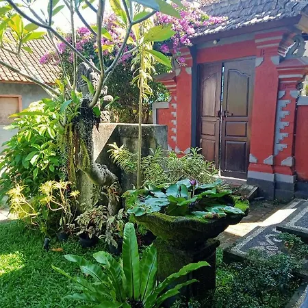 Jana'S Homestay Sidemen  Exterior photo